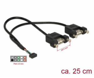 DeLOCK USB 2.0 kabel, 2mm 10pinová zásuvka > 2x USB-A zás...