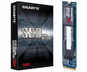 GIGABYTE SSD 256GB M.2