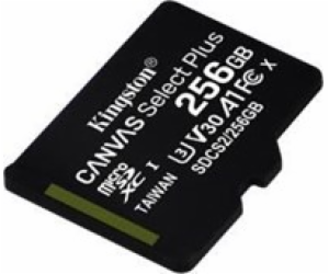 Canvas Select Plus 256GB microSDXC, paměťová karta