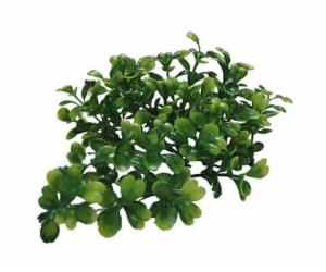 Lucky Reptile Turtle Plants Bacopa cca 40 cm