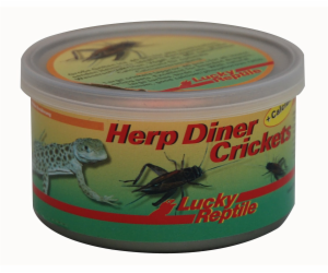 Lucky Reptile Herp Diner - cvrčci 35g 35g - velcí