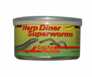 Lucky Reptile Herp Diner Superworms 35g