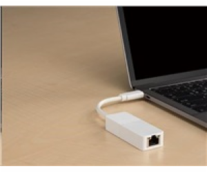 D-Link DUB-E130 USB-C to Gigabit Ethernet Adapter