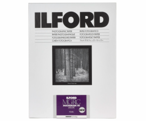 1x100 Ilford MG RC DL 44M 10,5x14,8