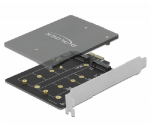 DeLOCK PCI Express x1 karta na 2 x interní M.2 Key B, ada...