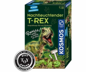 Nachtleuchtender T-REX, Experimentierkasten