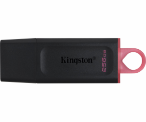 Kingston DataTraveler Exodia 256 GB, USB-Stick DTX/256GB