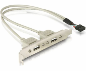 DeLOCK kryt slotu USB 2.0, 10pin header > 2x zásuvka USB-A