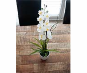 Orchidej bílá v dekoračním květináči, 62 cm