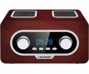 Blaupunkt PP5.2BR