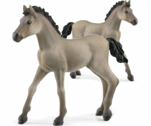 Schleich Horse Club     13949 Criollo Definitivo Foal