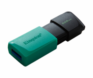 Kingston Flash Disk 256GB USB3.2 Gen 1 DataTraveler Exodi...