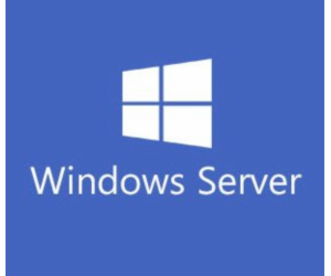 Microsoft Windows Server 2022 CAL ENG OEM (R18-06448)