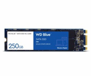 WD Blue SA510/1TB/SSD/M.2 SATA/5R