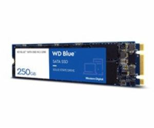 WD Blue SA510/500GB/SSD/M.2 SATA/5R