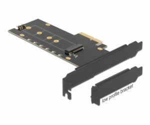 DeLOCK PCI Express x4 karta pro 1 x interní NVMe M.2 Key ...