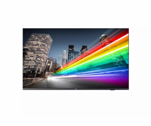 55" D-LED Philips 55BFL2214-UHD,IPS,350cd,TV,16/7