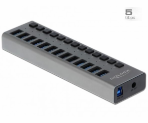 Delock Externí SuperSpeed USB Hub se 13 porty + vypínač 6...