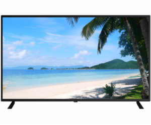 Dahua monitor LM55-F400 55" 3840×2160 (UHD), 4K, LED, 380...