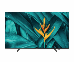 Philips/55HFL5214U/55"/4K UHD/Black