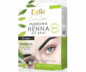 Delia Powder henna na obočí 0,1 Black