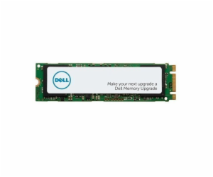 DELL M.2 PCIe NVME Class 40 2280 Solid State Drive - 1TB