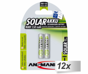 12x2 Ansmann maxE NiMH Akku Micro AAA 550 mAh SOLAR