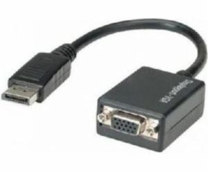 Techly DisplayPort - D-Sub (VGA) AV adaptér černý (325325)