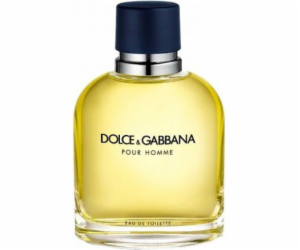 Dolce & Gabbana Pour Homme EDT 125 ml