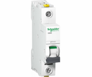 Schneider Electric, přepínač s nadproudem 1P D 25A 6KA AC...