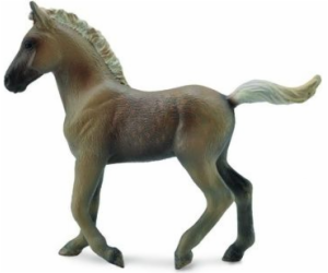 Collecta figurka Rocky Mountain Foal (COLL0509)