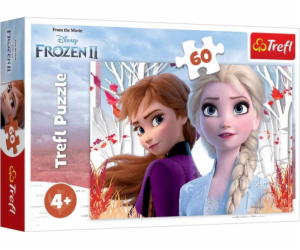 Trefl Puzzle 60 dílků Frozen 2 - Začarovaný svět Anny a Elsy