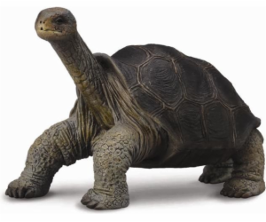 Collecta Turtle Collecta Figurine z ostrova Pinta (004-88...