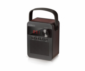 CARNEO F90 FM rádio, bluetooth reproduktor, black/wood