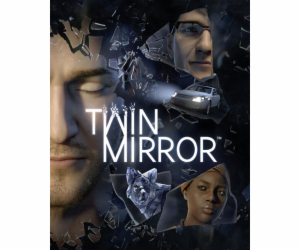 ESD Twin Mirror