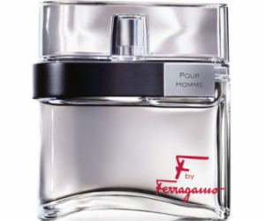 Salvatore Ferragamo F od Ferragamo Pour Homme EDT 100 ml