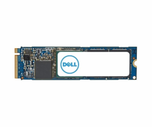 Dell disk 1TB SSD M.2 PCIe NVME 2280 class 40