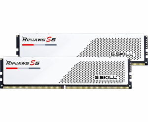 G.Skill DIMM 32 GB DDR5-5600 (2x 16 GB) duální sada, RAM