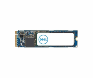 DELL disk 1TB SSD/ M.2/ PCIE NVMe/ Class 40/ 2280/ pro PC...