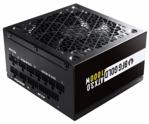 BitFenix zdroj BFG Gold / ATX3.0 / 1000W / 135mm fan / 80...