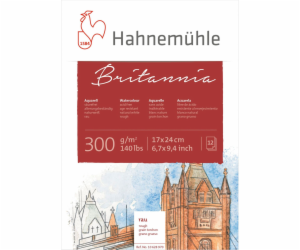 Hahnemühle Britannia Watercolour 12 sheets rough 17x24cm ...