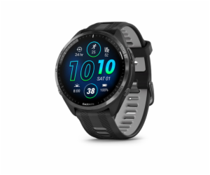 GARMIN Forerunner 965, Black/Powder Gray