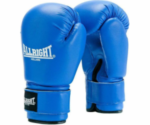 Allright TRAINING PRO BOXING GLOVES 14oz univerzální