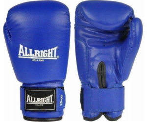 Allright TRAINING PRO BOXING GLOVES 10oz univerzální