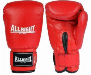 Allright TRAINING PRO BOXING GLOVES 10oz univerzální