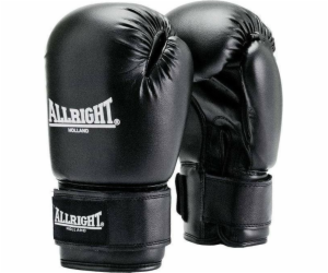 Allright TRAINING PRO BOXING GLOVES 8oz univerzální