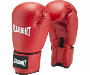 Allright TRAINING PRO BOXING GLOVES 6oz univerzální