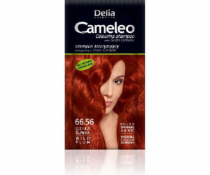 Šampon Delia Cosmetics Cameleo Coloring 66,56 planá švestka