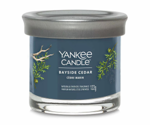 Svíčka ve skleněném válci Yankee Candle, Pobřežní cedr, 1...