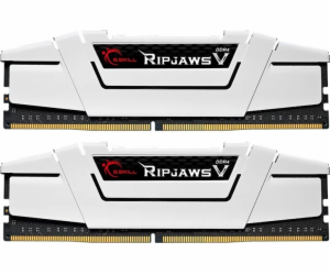  G.Skill DIMM 32 GB DDR4-3200 (2x 16 GB) duální sada, RAM